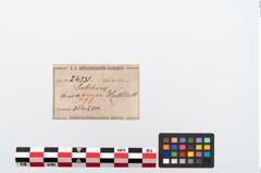 Etikett zu Bronzebrillenfibel (NHMW-PRAE-024531)